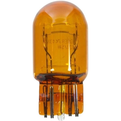 Parking Light by WAGNER - BP7443NA pa5