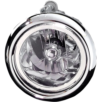 Passenger Side Fog Lamp Assembly by DEPO - 321-2012N-AC pa1