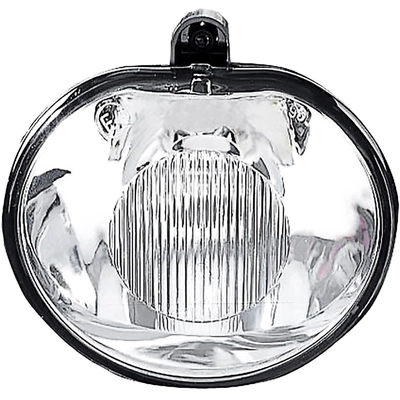 Passenger Side Fog Lamp Assembly by DEPO - 334-2009N-AS pa1