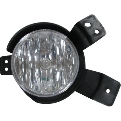 Passenger Side Fog Lamp Assembly by DEPO - 335-2048R-AC pa1