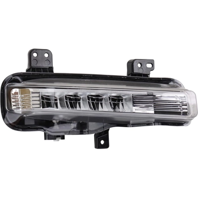 Passenger Side Fog Lamp Assembly - FO2593254 pa1