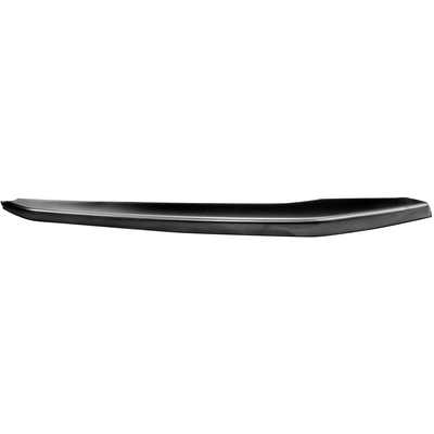 Passenger Side Front Bumper Molding - BM1047141 pa2