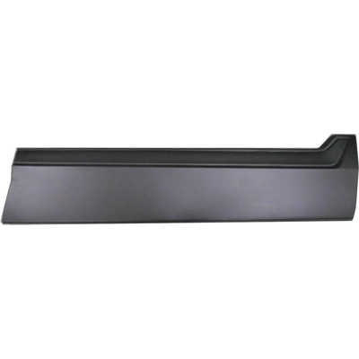 Passenger Side Front Door Side Molding - HO1305110 pa1