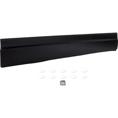 Passenger Side Front Door Side Molding - HO1305112 pa1