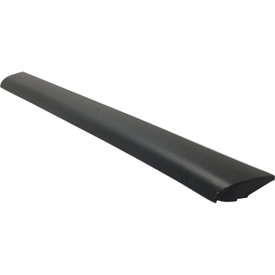 Passenger Side Front Door Side Molding - LX1305102 pa2