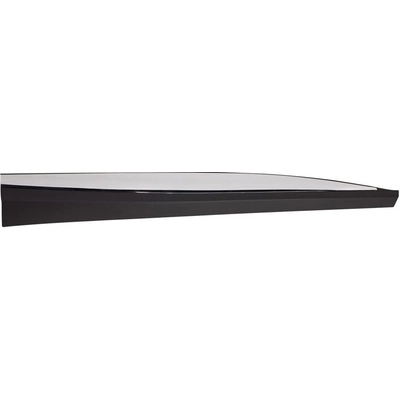 Passenger Side Front Door Side Molding - NI1305107 pa2
