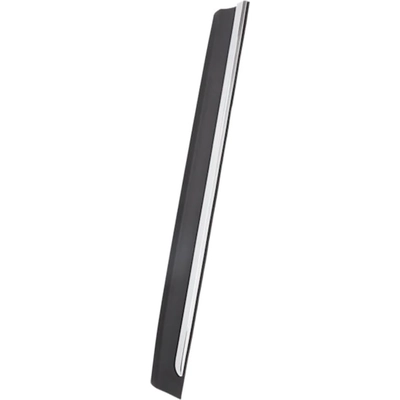 Passenger Side Front Door Side Molding - SU1305104 pa2