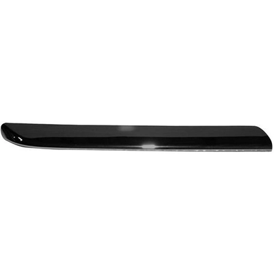 Passenger Side Grille Molding - HO1213104 pa2