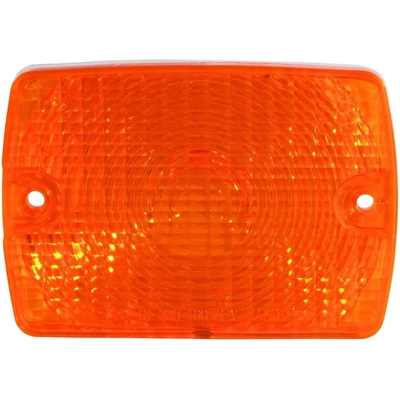 Passenger Side Parklamp Assembly by DEPO - 333-1609N-USN pa1