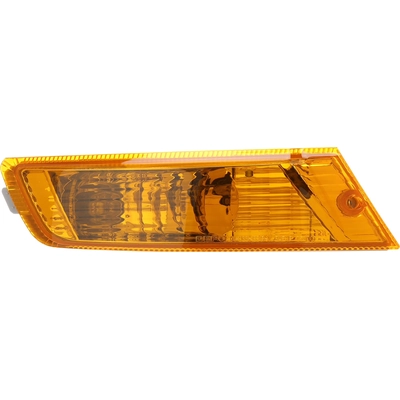 Passenger Side Parklamp Assembly by DEPO - 333-1631R-AC pa3