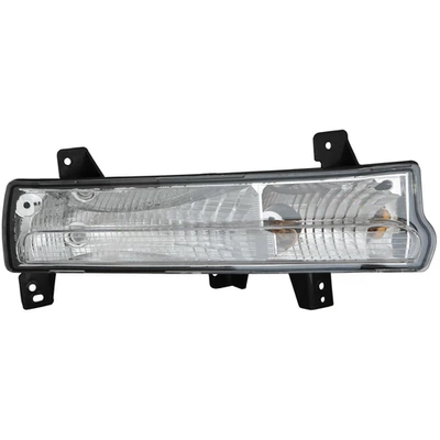 Passenger Side Parklamp Assembly by DEPO - 333-1638R-AC pa1