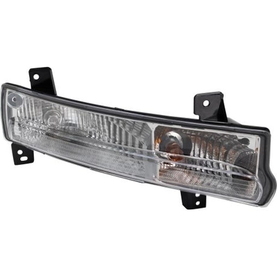 Passenger Side Parklamp Assembly by DEPO - 333-1638R-AC pa2