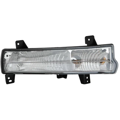 Passenger Side Parklamp Assembly by DEPO - 333-1638R-AS pa1