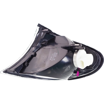 Passenger Side Parklamp Assembly by DEPO - 344-1506R-AS2 pa2