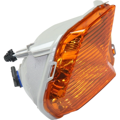 Passenger Side Parklamp Assembly - FO2521193 pa7