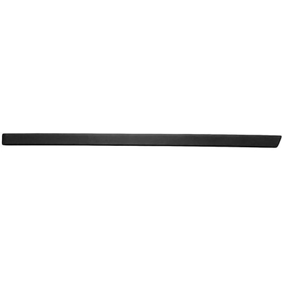 VARIOUS MANUFACTURERS - BM1505103 - Passenger Side Rear Door Side Molding pa1