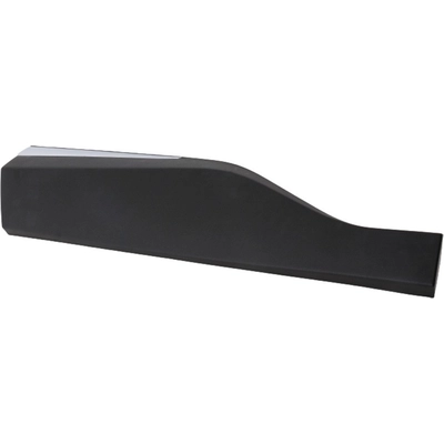 Passenger Side Rear Door Side Molding - NI1505105 pa2