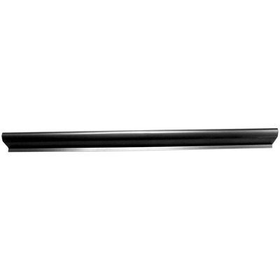 Passenger Side Rocker Panel - RRP3940 pa2