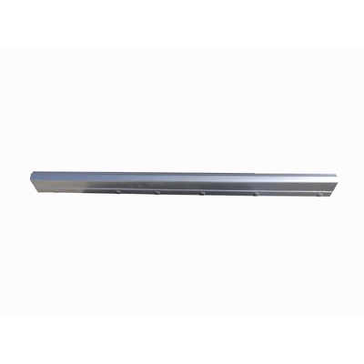 Passenger Side Rocker Panel - RRP4031 pa1