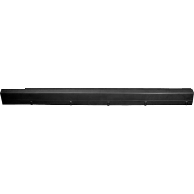 Passenger Side Rocker Panel - RRP4130 pa1