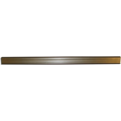 Passenger Side Slip-On Style Rocker Panel - RRP1510 pa1
