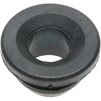 BLUE STREAK (HYGRADE MOTOR) - GV21 - PCV Valve Grommet pa6