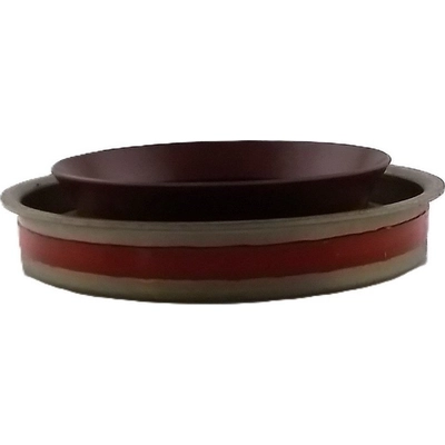 TIMKEN - SL260575 - Pinion Seal pa2