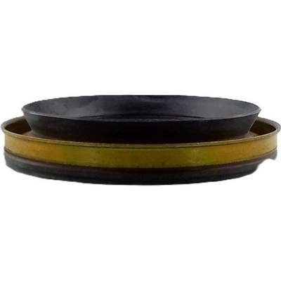 TIMKEN - SL260576 - Pinion Seal pa3