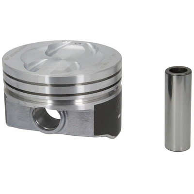 SEALED POWER - H699DCP20 - Piston Set pa1