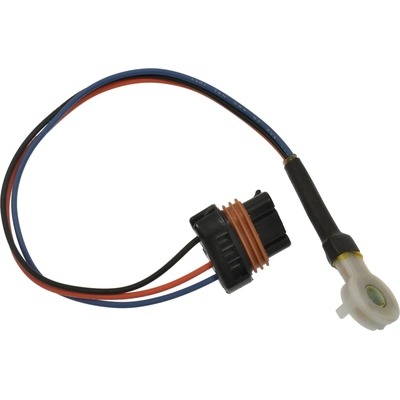 Interrupteur de verrouillage de porte électrique de BLUE STREAK (HYGRADE MOTOR) - DS2424 pa1
