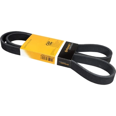 CONTINENTAL - 7PK1635 - Rib Belt pa3