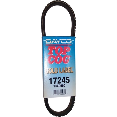 Power Steering And Water Pump Belt by DAYCO - 17245 pa7