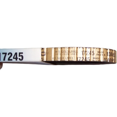 Power Steering And Water Pump Belt by DAYCO - 17245 pa8