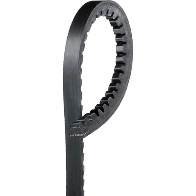 ACDELCO - 15355 - Power Steering Belt pa1