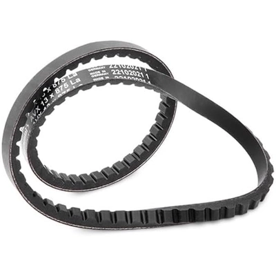 CONTINENTAL - 13X875 - V-Belt pa2