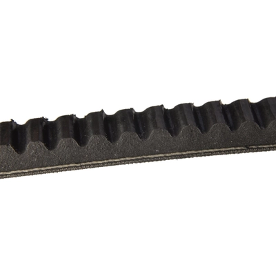 CONTINENTAL - 17450MK - V-Belt pa2