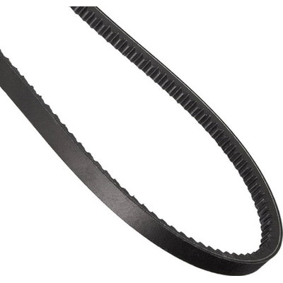 CONTINENTAL - 17481 - Air Conditioning, Alternator, Fan And Power Steering Belt - Automotive V- Belt pa1
