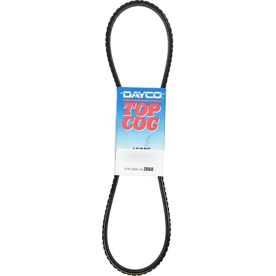Power Steering Belt by DAYCO - 15385 pa22