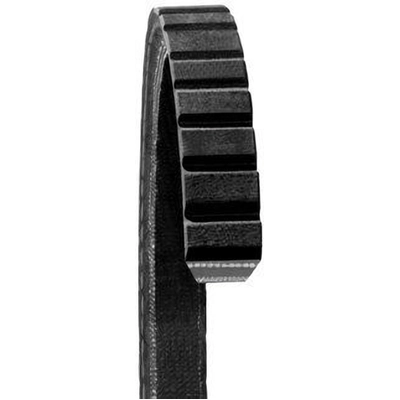 Power Steering Belt by DAYCO - 15410 pa12