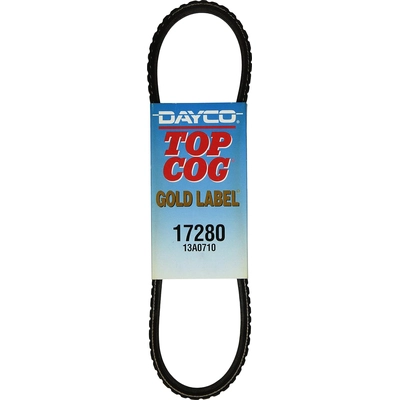 Power Steering Belt by DAYCO - 17280 pa7