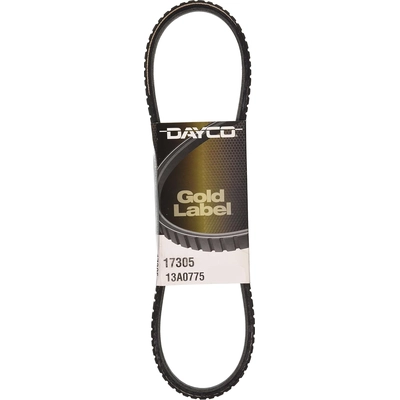 Power Steering Belt by DAYCO - 17305 pa14