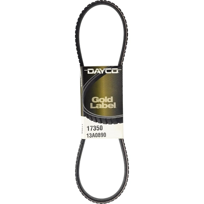 Power Steering Belt by DAYCO - 17350 pa14