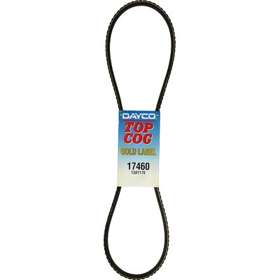Power Steering Belt by DAYCO - 17460 pa22
