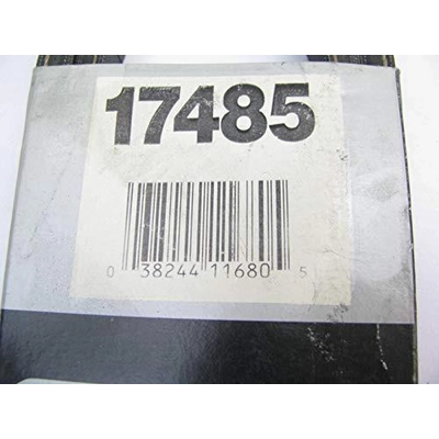 Power Steering Belt by DAYCO - 17485 pa13