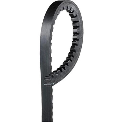 Power Steering Belt by GATES - 7445 pa13