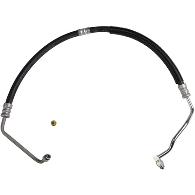 SUNSONG NORTH AMERICA - 3401318 - Power Steering Pressure Line Hose Assembly pa1