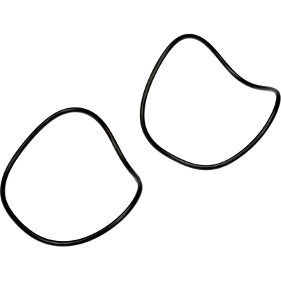 Power Steering Pump Seal Kit by DORMAN (OE SOLUTIONS) - 926-130 pa1