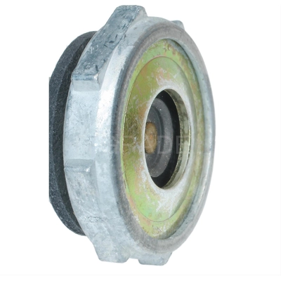 Power Valve by BLUE STREAK (HYGRADE MOTOR) - FM728G pa2