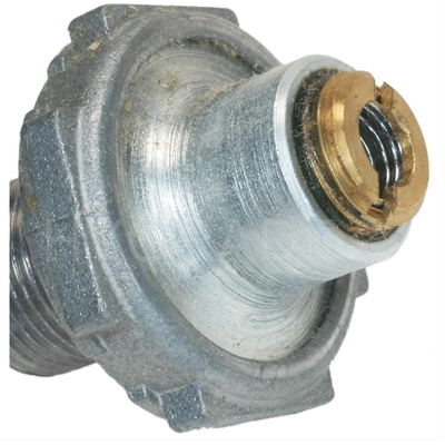 Power Valve by BLUE STREAK (HYGRADE MOTOR) - FM728T pa2
