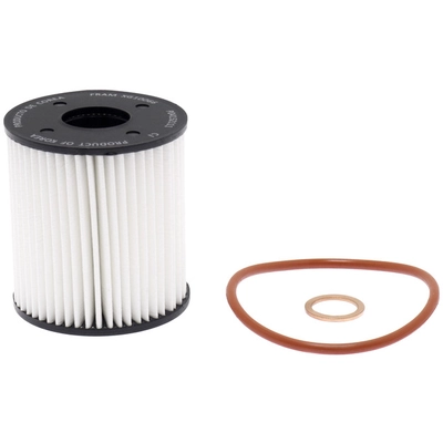 FRAM - XG10066 - OIL FILTER pa1